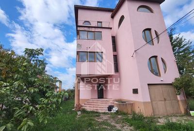 Cladire P+2E+M pentru diverse activitati,Mehala Cladire P+2E+M pentru diverse activitati,Mehala - 8