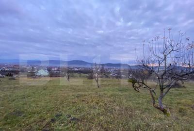 Teren de 1000 mp, în Unirea - 1