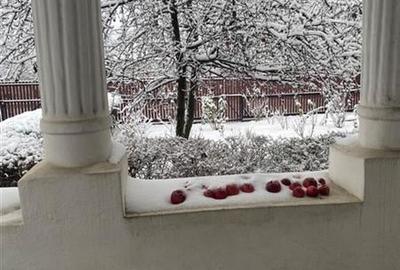 Teren cu iesire la lac si casa in stil brancovenesc - 21