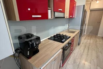 Apartament cu un dormitor, Ared Mobilat si Utilat , 40mp - 10