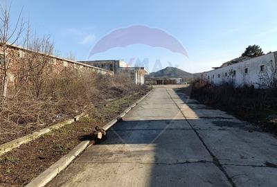 Spațiu industrial, de 5,000 mp, în Niculițel - 10