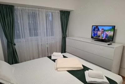 Apartament cu 3 camere decomandat în Banu Manta - 5