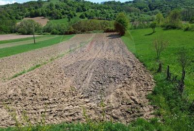 Teren 3,400mp Copalnic / Strada principala - 3