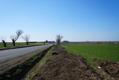 Teren agricol extravilan de 10000 mp, în Zădăreni - 2