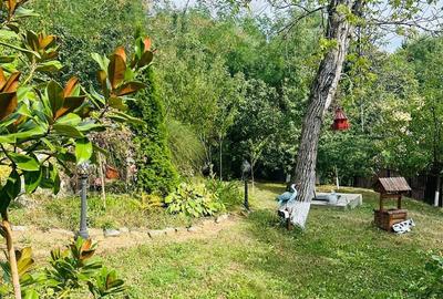 Casă cu 5 camere cu Teren 5000 Mp în Telega - 4