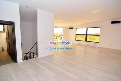 Hala 590 mp Chitila Rudeni- centura - 5