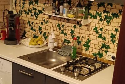 Garsonieră în Sârbi - 3