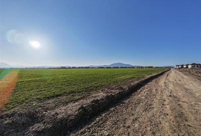 Inchiriem Apartament 2 Camere, Modern, Open Space, Ghimbav - 14