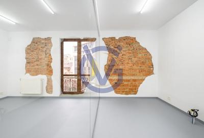 Vila reprezentativa Universitate pretabila la multiple destinatii - COMISION 0% - 33