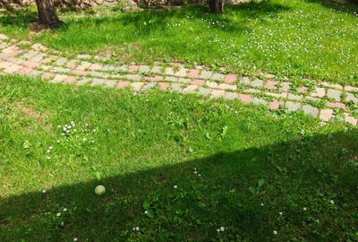 Casă individuală cu 5 camere cu Canalizare în Caragiale - 32