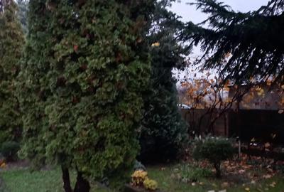 Casă cu 6 camere cu Teren 900 Mp în Pucioasa - 5
