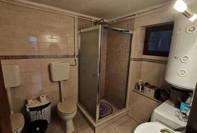 Casa de Vacan?a 24 locuri tip Hostel, Coste?ti, Hunedoara - 2