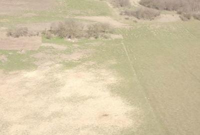 Teren de 7056 mp, în Mica - 2