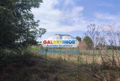 Teren intravilan Targoviste - 1