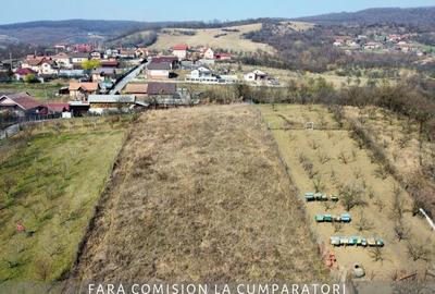 CAZANESTI, TEREN 3336mp - DESCHIDERE 27m - 22