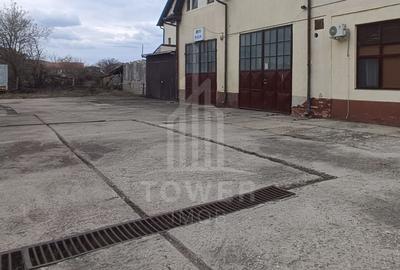 Spațiu industrial, de 200 mp, în Turnișor - 1