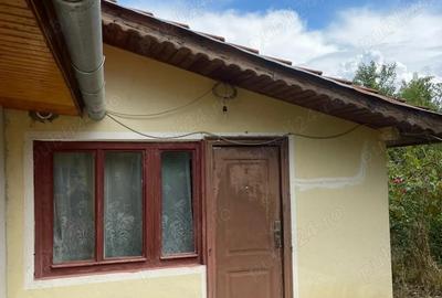 Vand casa cu gradina - 3