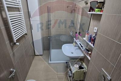 Apartament cu 3 camere semidecomandat, mobilat în Snagov - 15