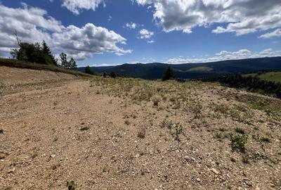 Spațiu comercial, în Beliș - 3