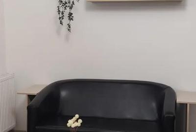 Apartament cu 2 camere decomandat în Brazda lui Novac - 7