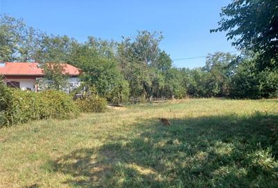 Casa Giurgiu- Ghimpati Sat Bila - 4