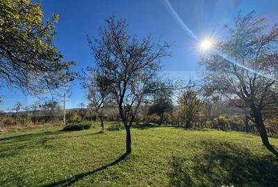 Teren de 2000 mp, în Central - 2