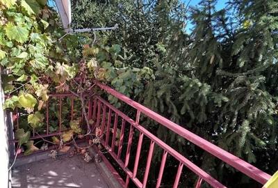 Casă individuală Buftea, 3.162 mp teren, ieșire spre lac - 34