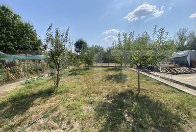 Teren Construcții intravilan de 800 mp, în Exterior Sud - 2