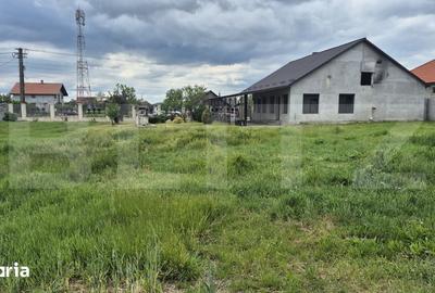 Casă cu 3 camere cu Teren 2918 Mp în Doba - 1