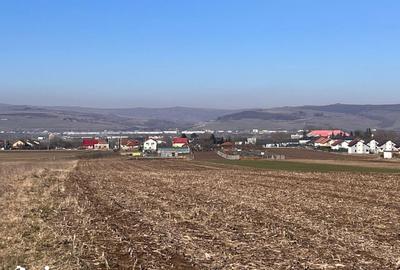 Teren de 8700 mp, în Jucu