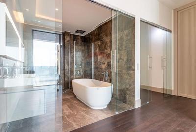 Penthouse spectaculos de vanzare - 5