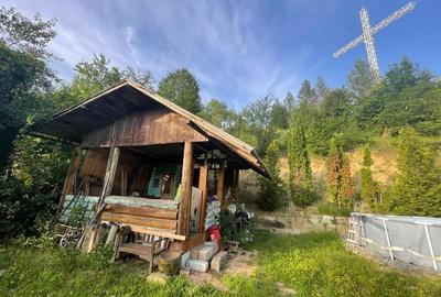 Vila deosebita, 2 corpuri P+M si P+1E, Margineni-Bacau - 27