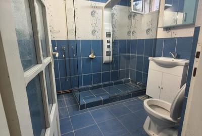 Casa individuala Nemobilat - 20