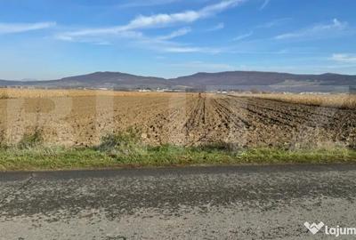 Teren de 5300 mp, în Arcalia - 4