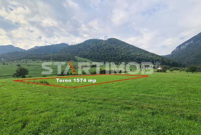 Teren Construcții intravilan de 1574 mp, în Sud-Est - 6