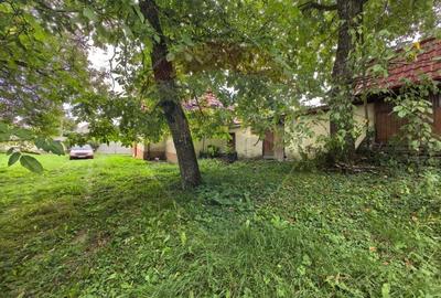 Casa traditionala De Vanzare cu 5 Hectare de teren - 11