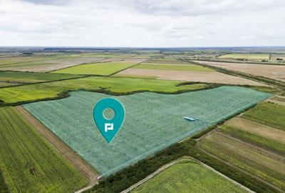 Teren de 140600 mp, în Cermei - 2