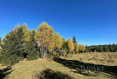 Teren intravilan de 2001 mp în Calatele Padure, comuna Calatele! - 3