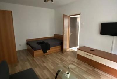 Inchiriere garsoniera Gorjului - 2