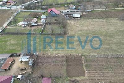Teren de 4000 mp, în Bazga - 3