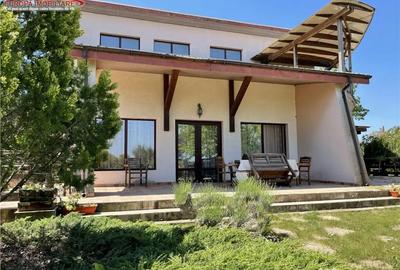 Casă cu 4 camere cu Teren 10000 Mp în Nufăru - 6