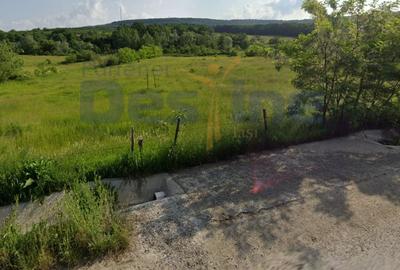 Teren Construcții intravilan de 8000 mp, în Bucium - 1