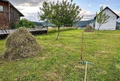 Casă cu Teren 3536 Mp în Coșna - 7