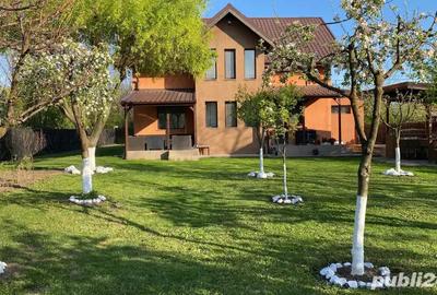 Proprietar , vand casa P+ 1 +Pod construita din caramida, cu curte de 1.641 mp - 3