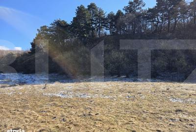 Teren de 4000 mp, în Făget - 4