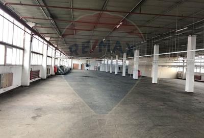 Hala 400 m productie - depozitare  - Lift 3t, Acces TIR, zona Aeroport - 6