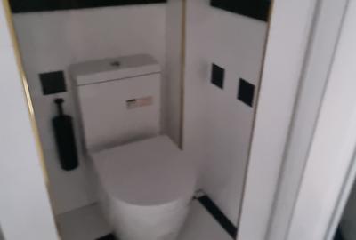Spațiu comercial, de 53 mp, în Știrbei Vodă - 18