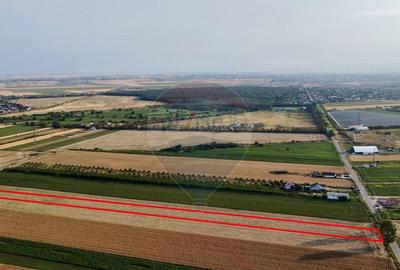 Teren Vanatori / Strada DJ204E Spre Mircesti Teren Vanatori / Strada DJ204E Spre Mircesti - 4