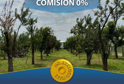 Teren Intravilan - Str. Gorganu, Calinesti - 1268 mp! - 1