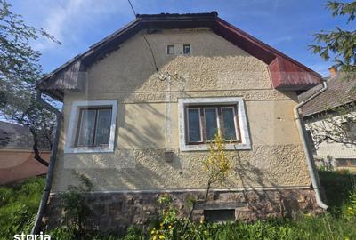 Casă cu 4 camere cu Teren 1210 Mp în Valea Crișului - 8